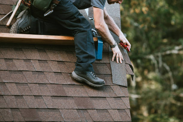 Best Roof Repair Services  in Riddle, OR